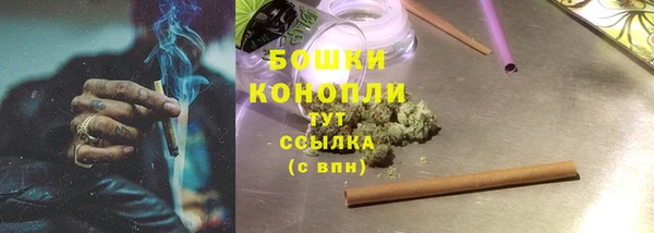 spice Вяземский